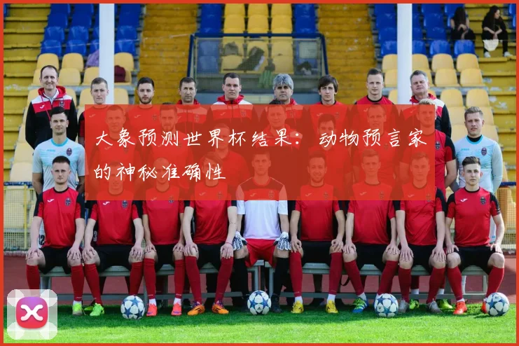大象预测世界杯结果：动物预言家的神秘准确性